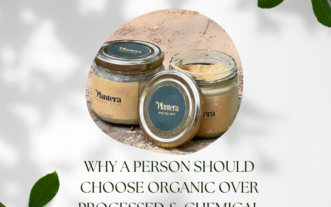 WHY A PERSON SHOULD CHOOSE ORGANIC OVER PROCESSED & CHEMICAL SKINCARE PRODUCTS